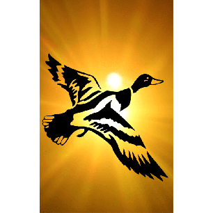 Duck Tag