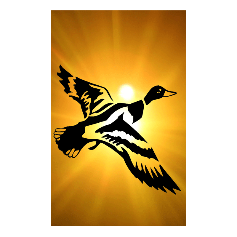 Duck Tag