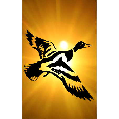 Duck Tag