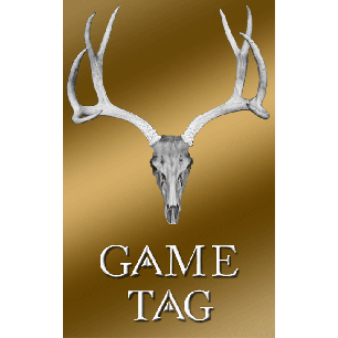 Skull Game Tag