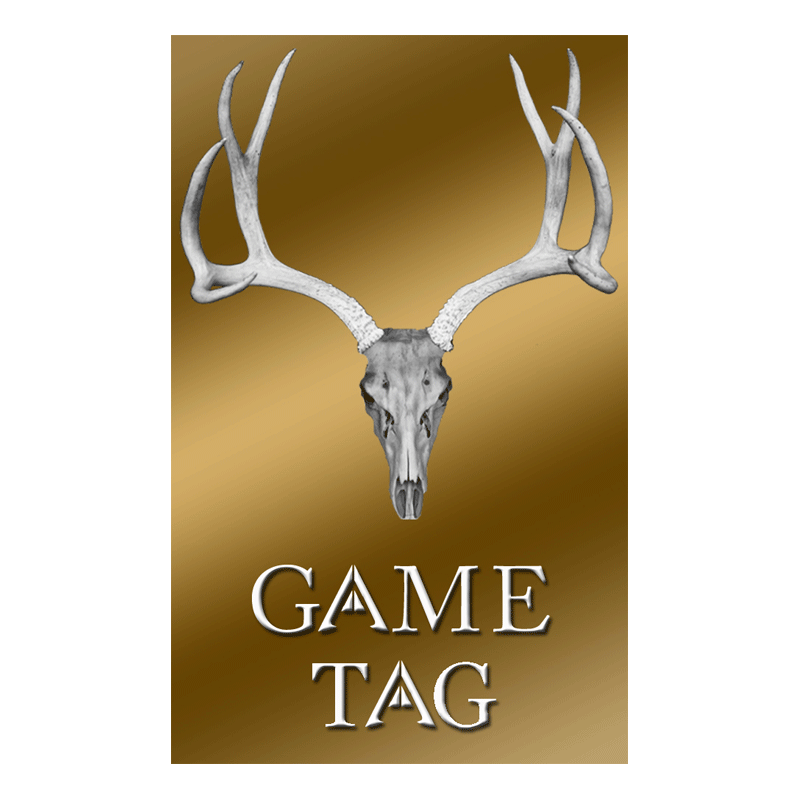 Skull Game Tag