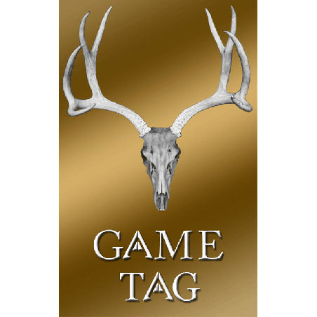 Skull Game Tag