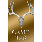 Skull Game Tag