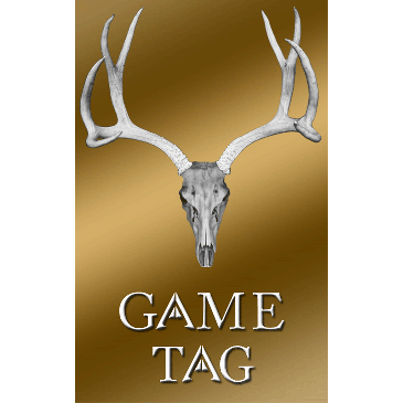 Skull Game Tag