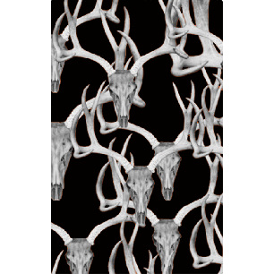 Skull Game Tags