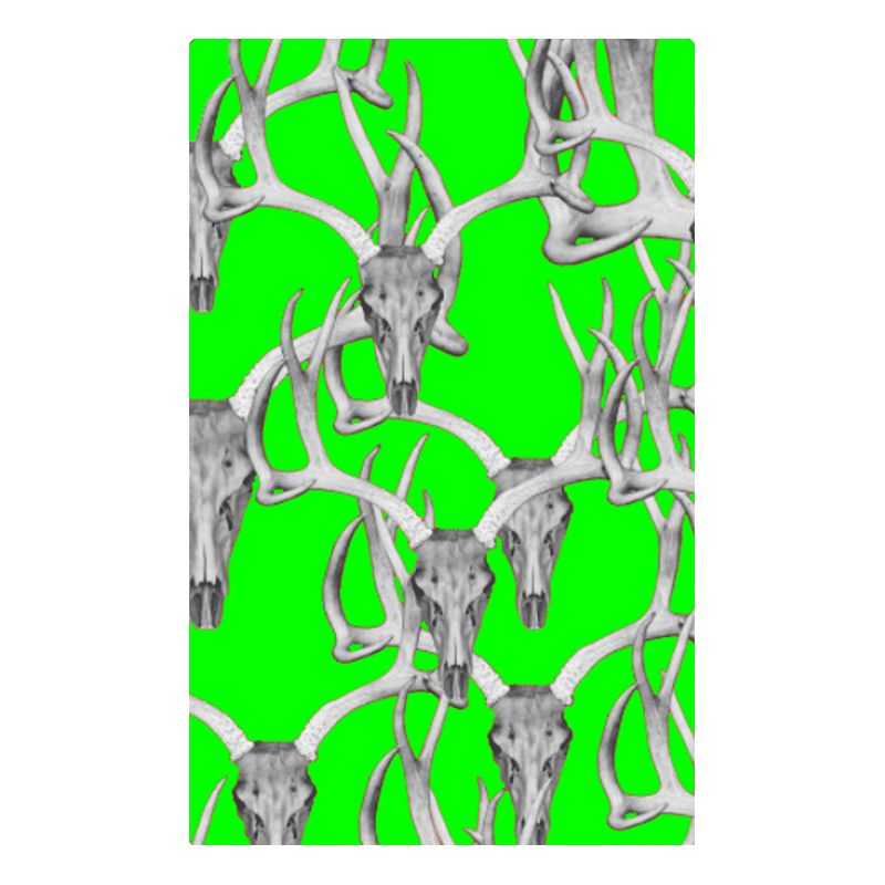 Skull Game Tags green