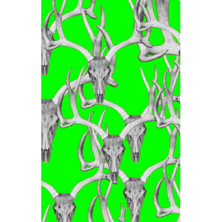 Skull Game Tags green